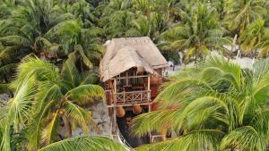 ein Haus inmitten einer Gruppe von Palmen in der Unterkunft Cabaña Cielo in Punta Allen