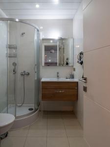a bathroom with a shower and a sink at Apartment in Tbilisi “Green Budapest “ in Tbilisi City