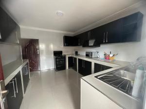 eine Küche mit schwarzen Schränken und einer Spüle aus Edelstahl in der Unterkunft Lemajy Apartments in Solwezi