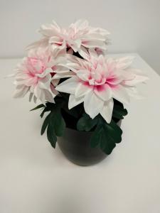 a bouquet of pink flowers in a black vase at Apartaments Puigcardener 1 in Manresa