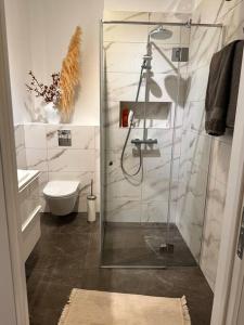 a bathroom with a glass shower and a toilet at Stylish studio in the heart of Riga in Rīga