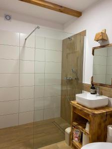 a bathroom with a sink and a shower at Agroturystyka Łazory nad Tanwią in Łazory +43 photos