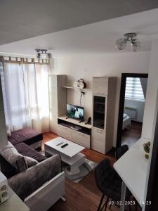 科帕奧尼克的住宿－Castello apartman Kopaonik，客厅配有沙发和桌子