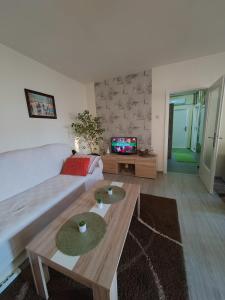 Sala de estar con cama y mesa en Apartman Stanimirović, en Zajecar