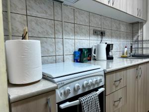 a kitchen with a stove with a roll of paper towels at AradVest Studio in Arad