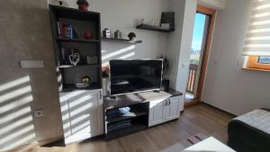 TV a/nebo společenská místnost v ubytování Goldview Apartmani + 37 fotografií