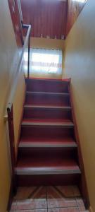 a staircase with red carpeting and a window at ALOJAMIENTO LAS LILAS in Cartagena