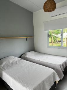 two beds in a room with a window at Complejo Las Palmeras in Colonia del Sacramento