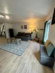 uma sala de estar com um sofá e uma mesa em Appartement hyper centre em Rodez