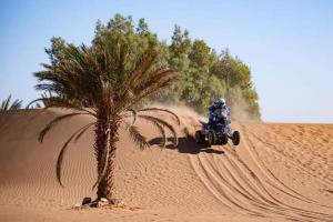 a person riding a dirt bike in the desert with a palm tree at Dar Nomad Tagounite in Zagora