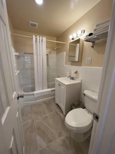 a bathroom with a toilet and a sink and a shower at Beachside Resort Motel in St Pete Beach