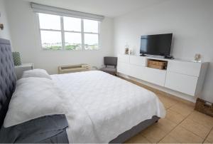 TV a/nebo společenská místnost v ubytování Luxury Apartment with Ocean Views