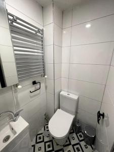 een kleine badkamer met een toilet en een wastafel bij Comfortable and luxurious flat 4 in Istanbul