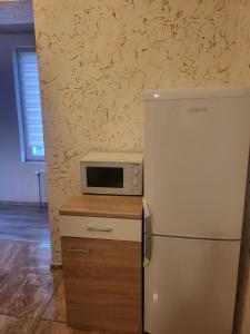 a kitchen with a refrigerator and a microwave on a counter at Angel in Altenburg