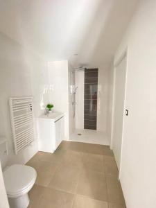 Koupelna v ubytování PLOERMEL Centre- Gite touristique 3 étoiles- 2 SdeBain + 7 fotografií