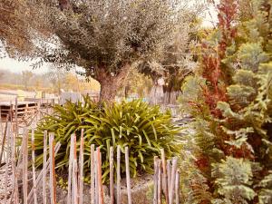 uma cerca num jardim com uma árvore e plantas em Casa Rico Frade Garden em São Pedro do Corval