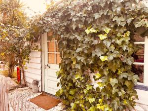 a building with a door covered in ivy at Casa Rico Frade Garden in São Pedro do Corval