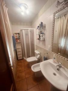 a bathroom with a sink and a toilet and a shower at Águila Real in Arroyo Frio