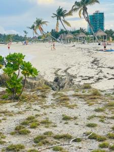 une plage de sable avec des palmiers et des personnes y séjournant dans l'établissement La Isla Tropica, à Guraidhoo