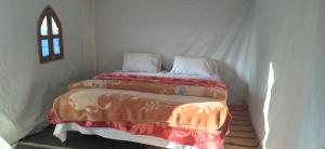 Chegaga Regency Camp في El Gouera: سرير عليه وسادتين في غرفة