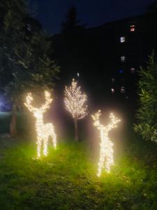 Un grupo de luces de Navidad en un patio por la noche en Milano relax family house, en Brugherio