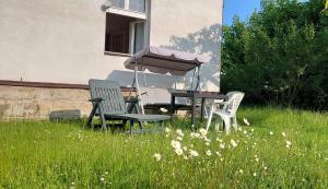 two chairs and a table with an umbrella in the grass at Apartman U Parku in Dvůr Králové nad Labem