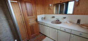 un bagno con lavandino, specchio e porta di Chalet Les Portes a Riddes