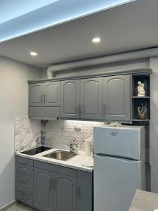 La cuisine est équipée d'un réfrigérateur blanc et d'un évier. dans l'établissement Black Eagle Apartment, à Dráma
