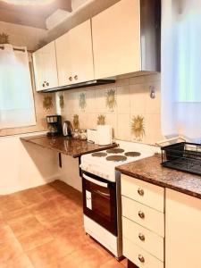 a kitchen with a stove and a counter top at La Rosada Casa de Campo in General Las Heras