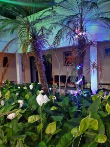 duas palmeiras numa sala com plantas em Associação Sabesp Ilha Comprida em Ilha Comprida
