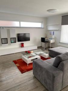 a living room with a couch and a table at Zwarte Arend AirBnB in Antwerp