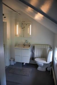 een badkamer met een toilet en een wastafel bij Exklusiv takvåning i lantlig miljö in Falun