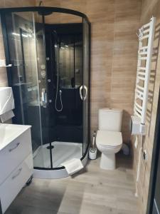 a bathroom with a shower and a white toilet at Comfort Stay, EV, Parking in Bolesławiec