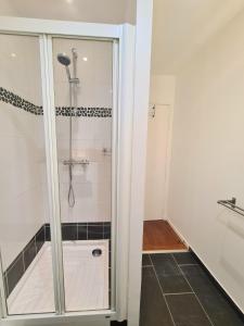 y baño con ducha y puerta de cristal. en Bel appartement F2 42 m2 en Ivry-sur-Seine