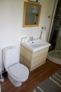 een badkamer met een toilet, een wastafel en een douche bij Scoutstugan in Falun