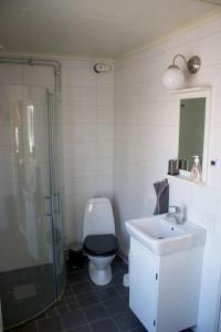 a bathroom with a toilet and a shower and a sink at Bagarstugan in Falun