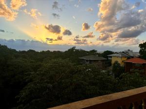 Un paisaje natural cerca del departamento