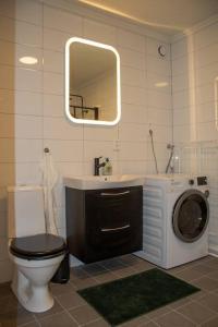 博倫厄的住宿－Modern countryside apartment，浴室配有卫生间水槽和洗衣机。