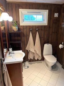 baño con aseo y lavabo y ventana en Cozy cabin on Lifjell with jacuzzi close to cross-country trails and hiking trails en Lifjell