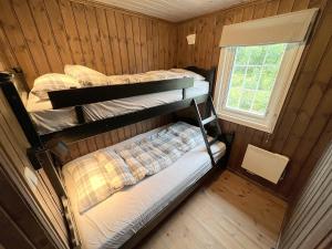 Ce dortoir comprend 2 lits superposés et une fenêtre. dans l'établissement Cozy cabin on Lifjell with jacuzzi close to cross-country trails and hiking trails, à Lifjell