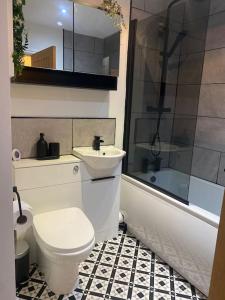 a bathroom with a toilet and a sink and a shower at “1-Bed Haven in Snowdonia nr ZipWorld, Snowdon” in Blaenau-Ffestiniog
