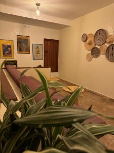 a living room with a couch and a plant at Casa Noa Colonial Rooms By SOHO in Cartagena de Indias