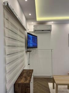 En TV eller et underholdningssystem på Surčin Centar apartment