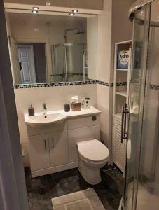 a bathroom with a toilet and a sink and a shower at Modern two bed flat in Canada Water close to transport in London