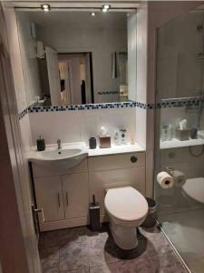 y baño con aseo, lavabo y espejo. en Modern two bed flat in Canada Water close to transport en Londres
