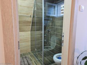 um chuveiro com uma porta de vidro ao lado de um WC em Zlatar Eyes em Nova Varos