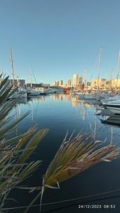 a view of a marina with boats in the water at Wonderful boat for families and friends in Barcelona