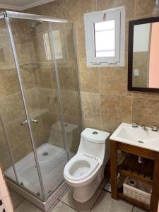 a bathroom with a shower and a toilet and a sink at CABAÑA MOAI in Mar del Plata