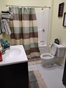 ein Bad mit einem WC, einem Waschbecken und einer Dusche in der Unterkunft 2feathers inn in Natchez
