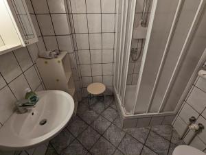 a small bathroom with a sink and a shower at Haus Ruhewinkel, Bungalow 2 in Alkersum +11 photos